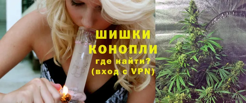 Конопля OG Kush  Истра 